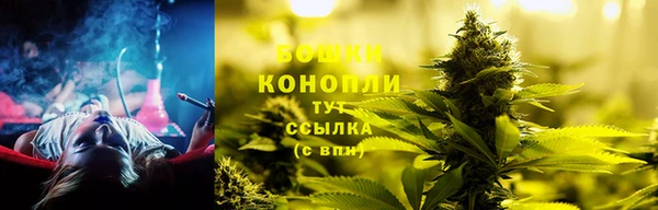 дживик Нефтегорск