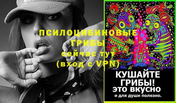 дживик Нефтегорск